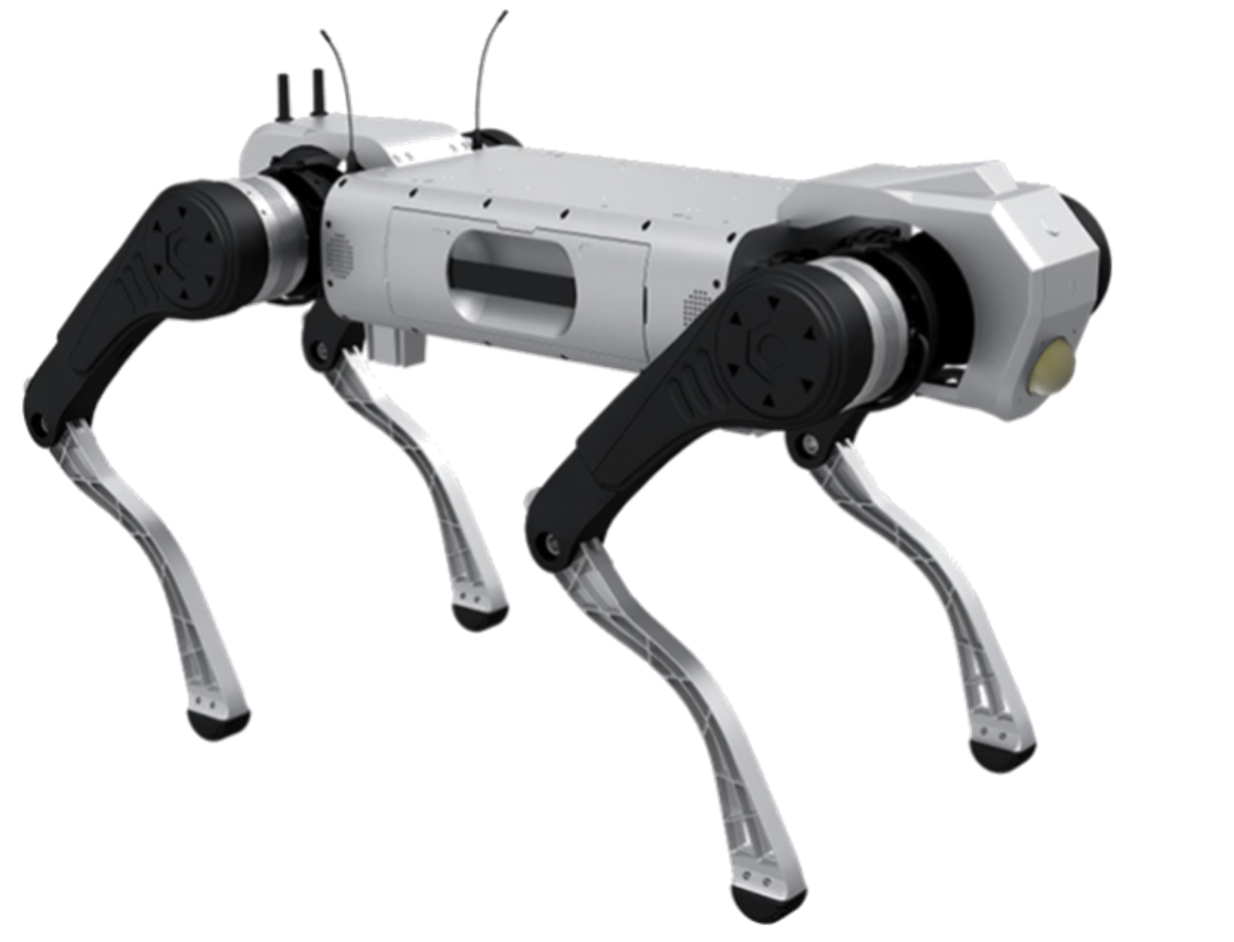 Quadruped robot D1 MaxPro